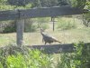 IMG_1379.JPG