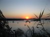 wister 10-26-11 003.JPG