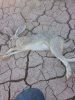 20150529_065922.jpg