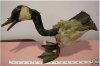 Goose fail.jpg