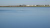 canada day 7 033.JPG