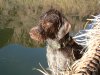 DSCF0056.JPG