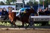 American Pharoah at the wire.jpg