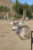 IMG_1450-1.jpg