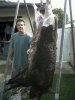 IMG00087-20101206-0950.jpg