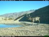 2010-09-15 08-07-32 M 02_03.jpg