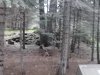 IMG_20150521_104936.jpg