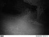 trail cam 10-11-12 485.JPG