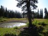 DSC03981.JPG