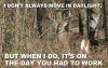 deer.jpg