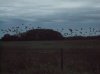 DSCF0255.JPG