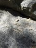 ImageUploadedByTapatalk1442201753.953197.jpg