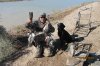 WW & Wister 1-16-12 030.JPG