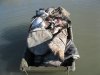wister 12-21-11 015.JPG