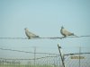 IMG_7687.JPG