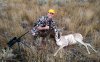 updated antelope-3.jpg