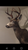 Screenshot_2015-11-02-10-01-00.png
