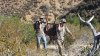 20151031_111359.jpg