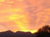 IMG_20151125_061048.jpg