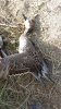 20151226_090111.jpg