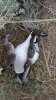20151226_073952.jpg