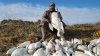 geese_jan2_2016_3.jpg