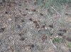 DSCF0025.JPG