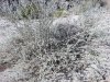 20160119_104637.jpg