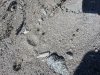 20160119_104630.jpg