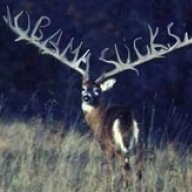 TopBuck