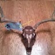 bowhunter619