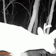 Midwest_Hunter