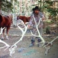 Co elkguide