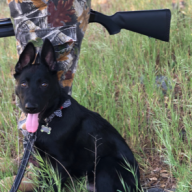 Hunt2019