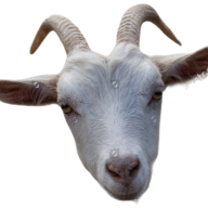 The Goat