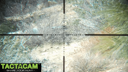 snapshot17-450x253.png