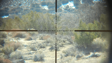 snapshot34-450x253.png