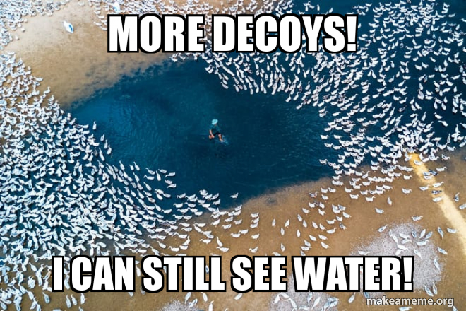 more-decoys-i.jpg