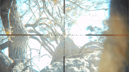 snapshot33-450x253.png
