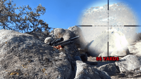 snapshot30-450x253.png
